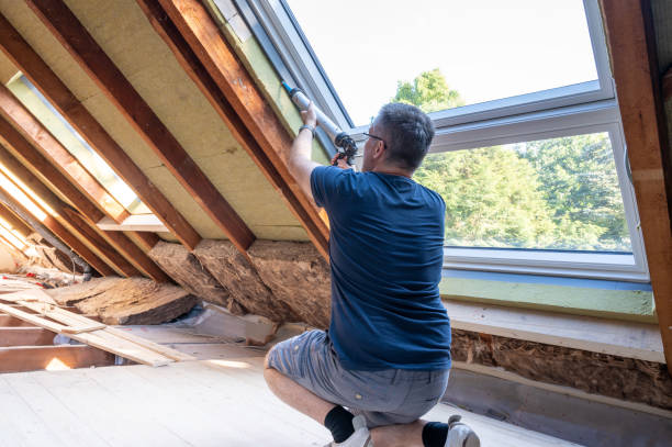 Best Residential Window Installation  in Reynolds Heights, PA